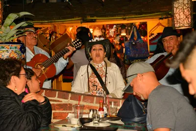 DSC_5636 (Large).JPG